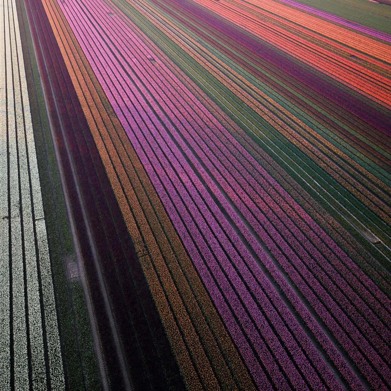 Register Illustration